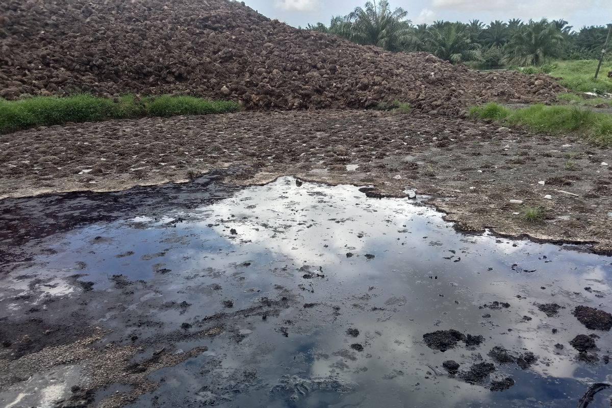 Warga Mukomuko Bengkulu laporkan perusahaan diduga cemari sungai