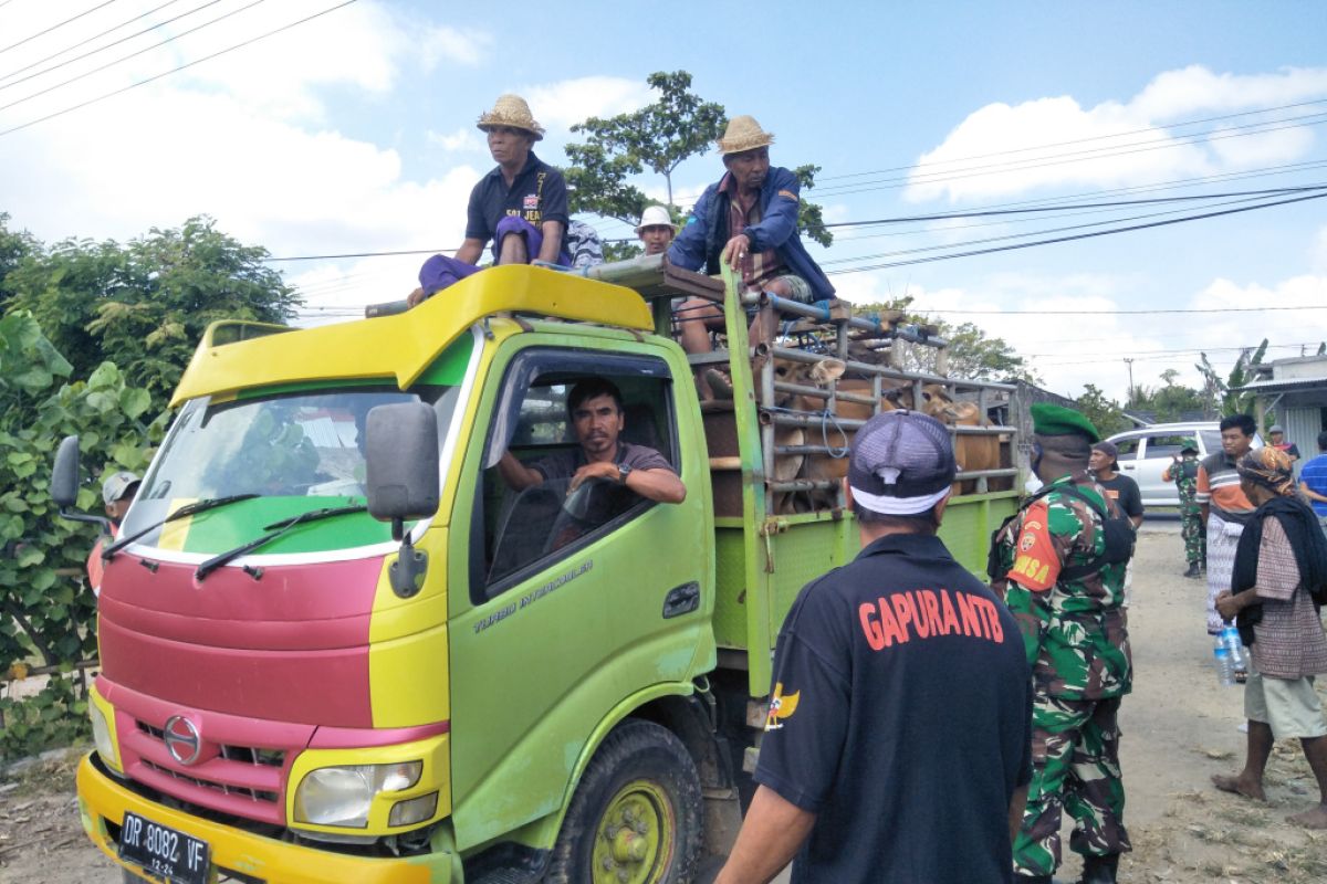 Pasar hewan di Lombok Tengah NTB kembali dibuka