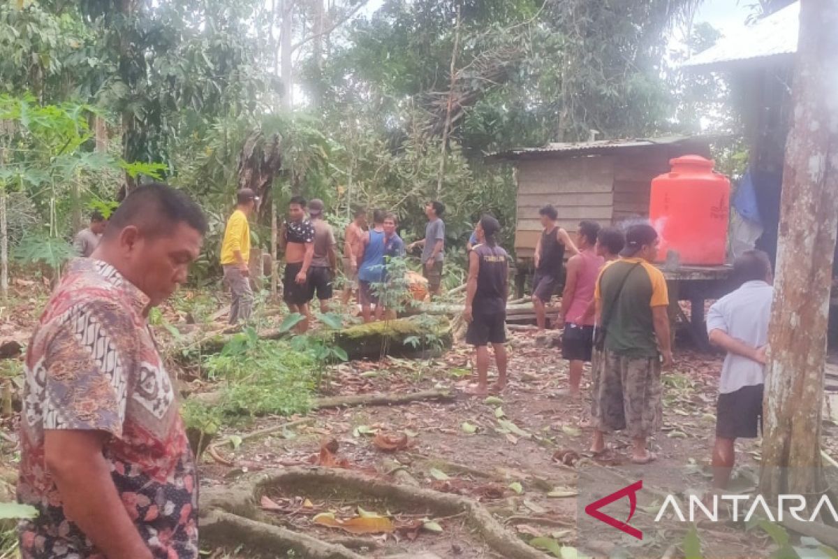 Tujuh rumah warga di Kapuas Hulu rusak akibat angin puting beliung