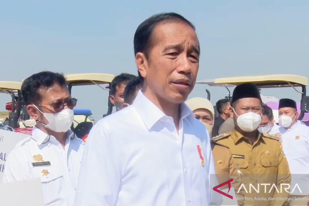 Jokowi minta tingkatkan produksi mangga di Gresik penuhi kebutuhan domestik-ekspor