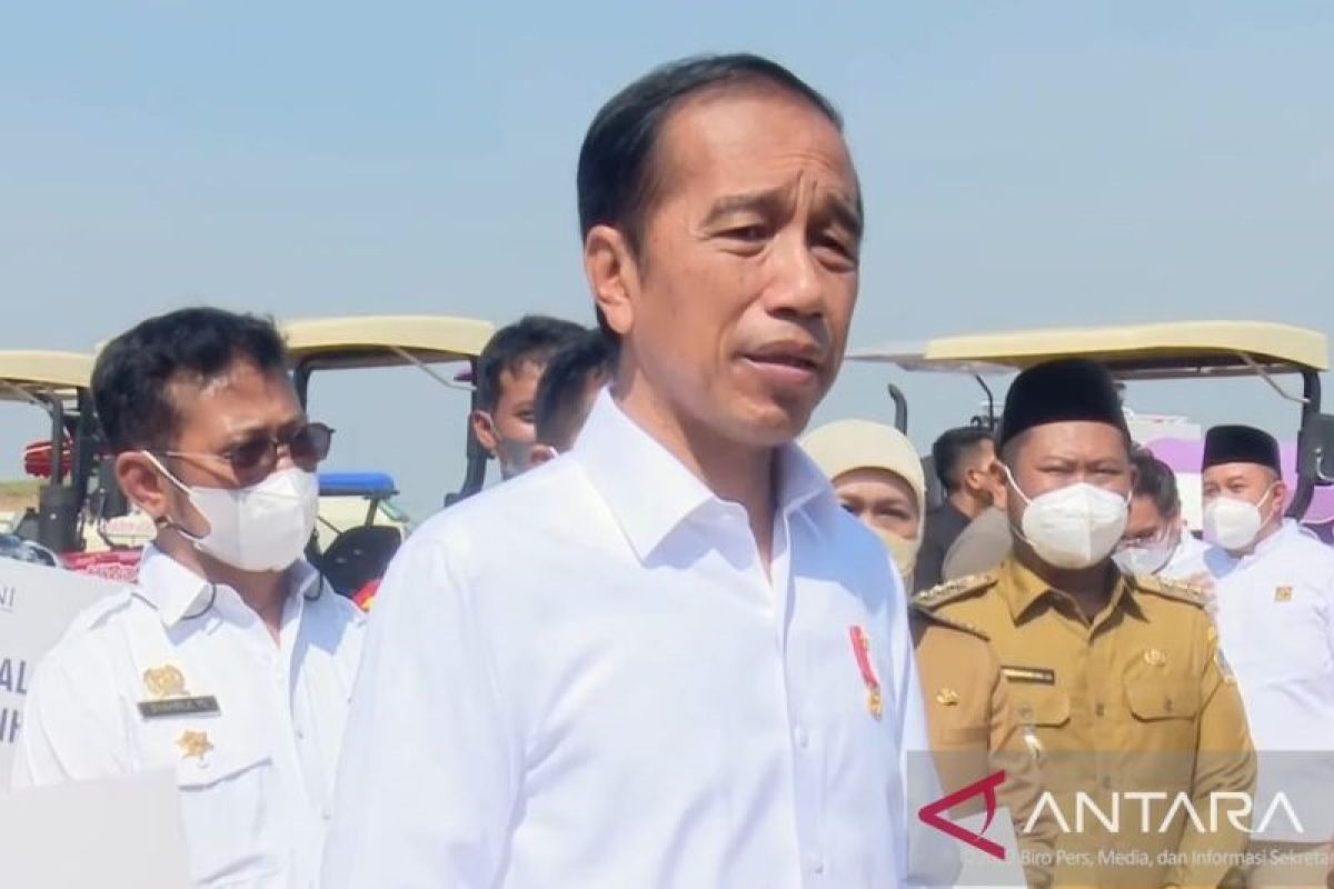 Presiden Jokowi minta tingkatkan produksi mangga di Gresik penuhi domestik-ekspor
