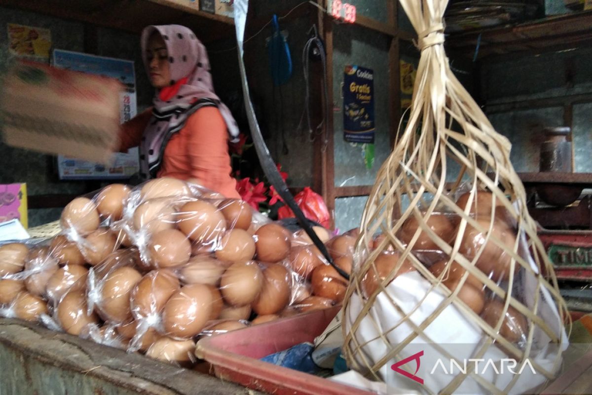 Di Kudus, harga telur capai Rp31.000 per kilogram