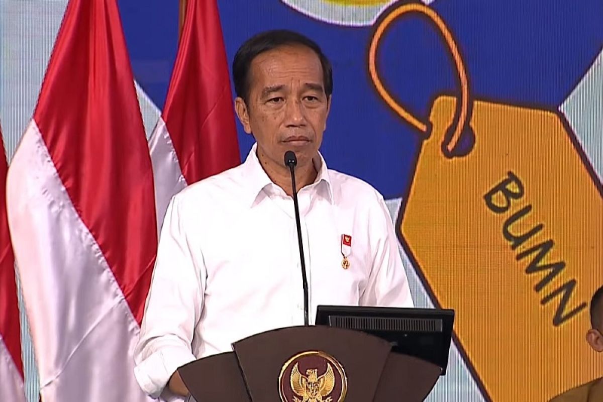 Jokowi urges KADIN members to plant sorghum in NTT