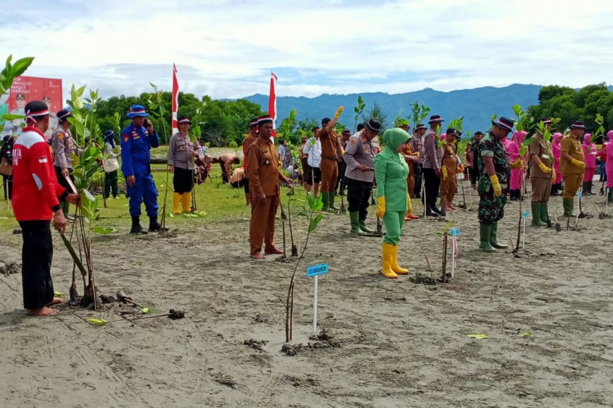 Wujudkan Aceh hijau, Polres tanam 3386 bibit pohon magrove di Pidie.