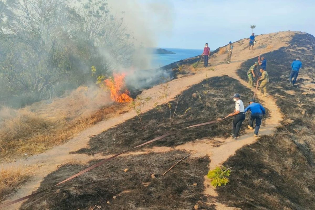 Lahan kering yang terbakar di Labuan Bajo seluas 25 hektare