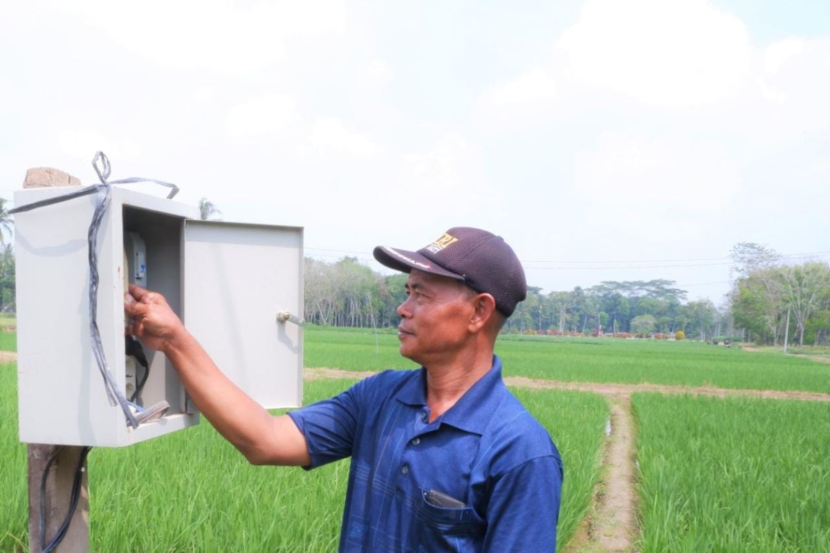 Modernisasi pertanian lewat Electrifying Agriculture, PLN dorong petani di Lampung raup untung