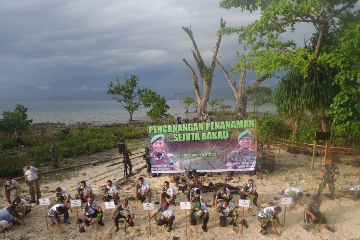 Kodam Kasuari tanami ribuan bakau di Pulau Raimuti