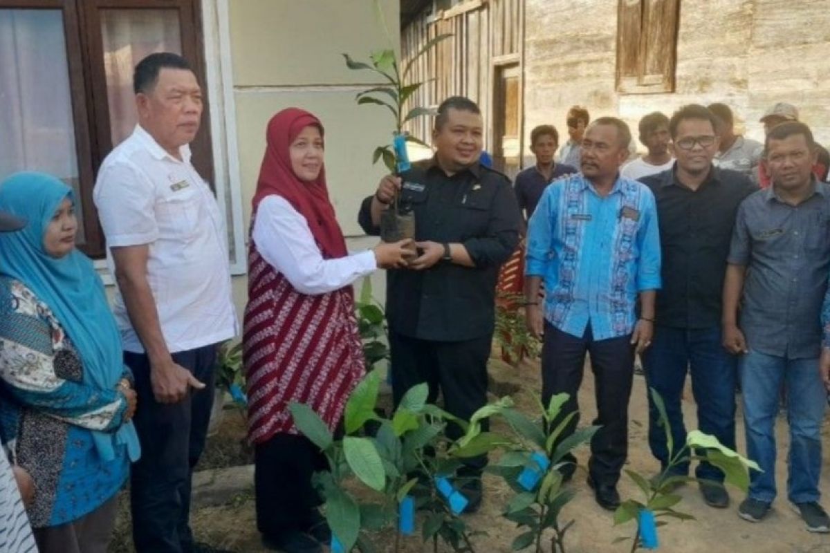 Tapanuli Selatan dinilai potensial dalam pengembangan manggis