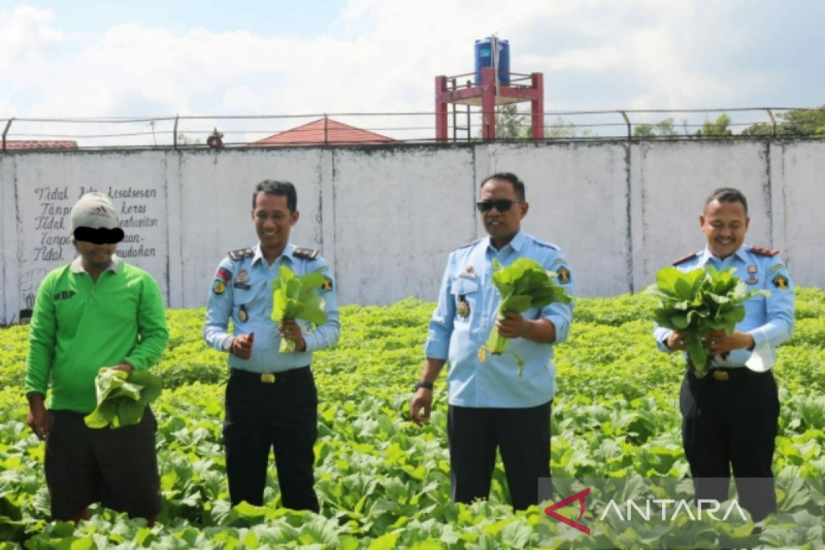 Hasil pertanian warga binaan Rutan Pelaihari miliki pelanggan tetap