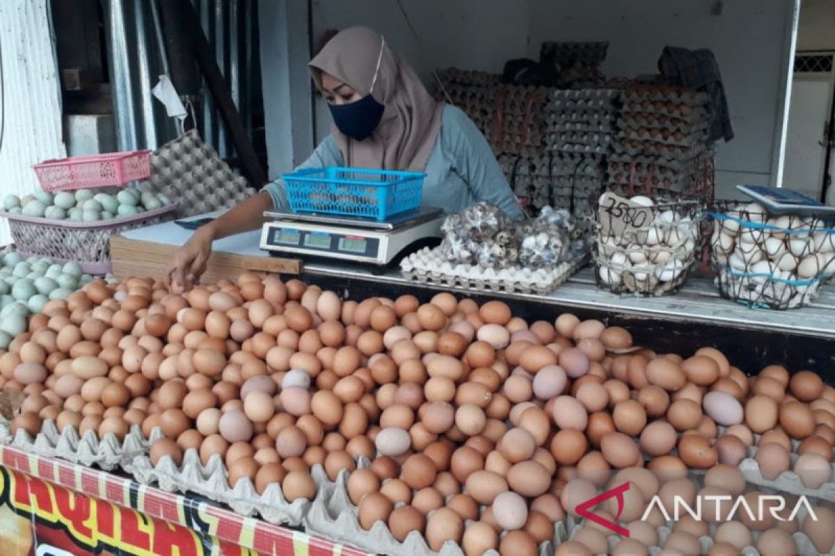 Harga telur ayam ras di Baturaja tembus Rp32.000 per kilogram