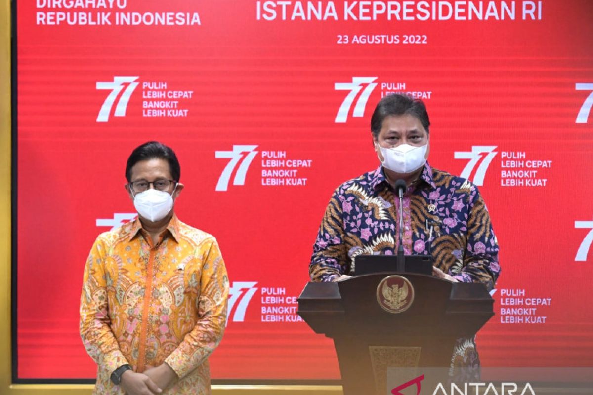 Menko Perekonomian laporkan realisasi PC-PEN ke Presiden Jokowi