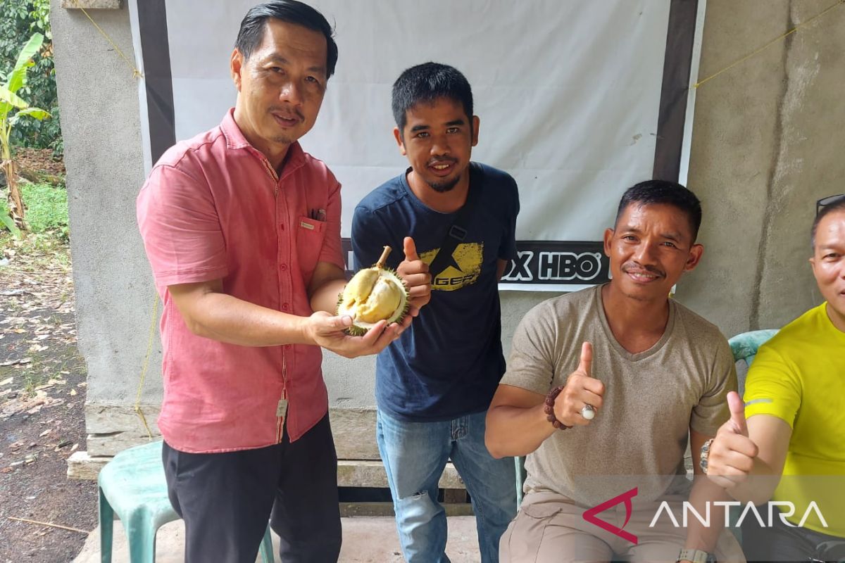 Durian dan langsat komoditas penting dan ikon Kubu Raya