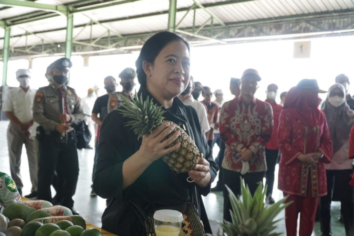 Lampung pengekspor nanas terbesar di dunia