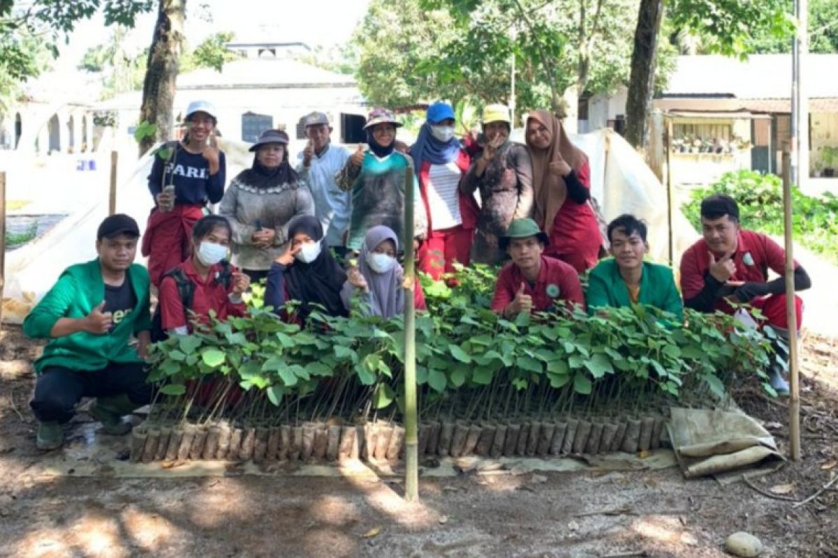 Mahasiswa Polbangtan Kementan tanam cover crop di perkebunan karet Simalungun
