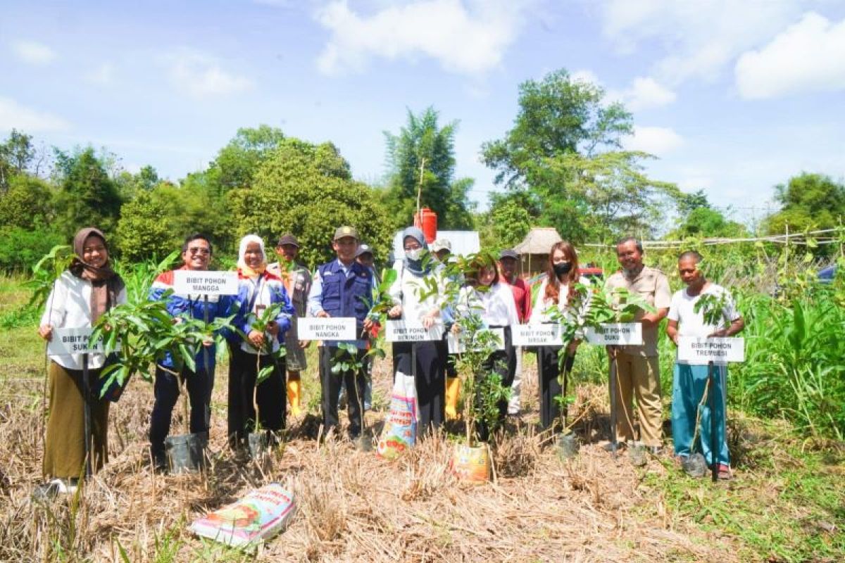 Upaya kurangi pemanasan global, Pertamina Patra Niaga Regional Sumbagsel tanam 200 pohon di Desa Pulau Semambu