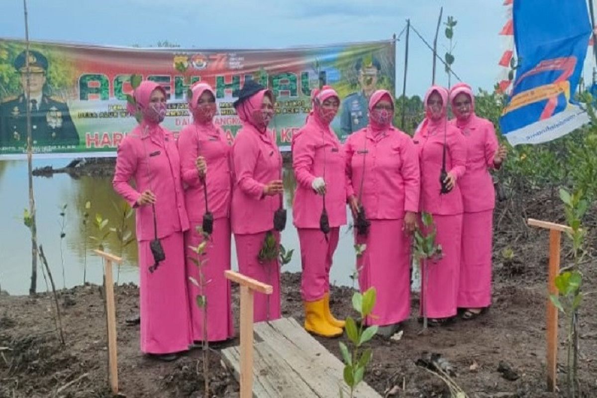 Polisi tanam mangrove di bibir pantai laut lepas Selat Malaka