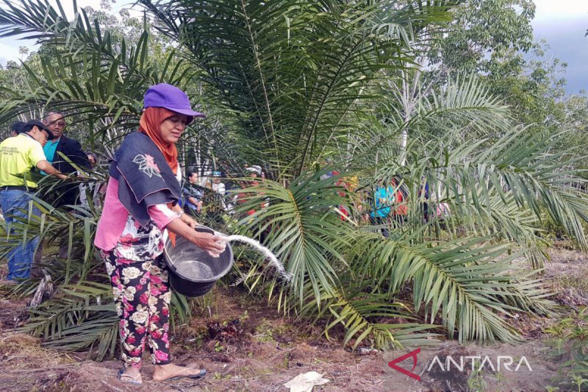 Gapki Tegaskan Berkomitmen Untuk Wujudkan Industri Sawit Berkelanjutan ...