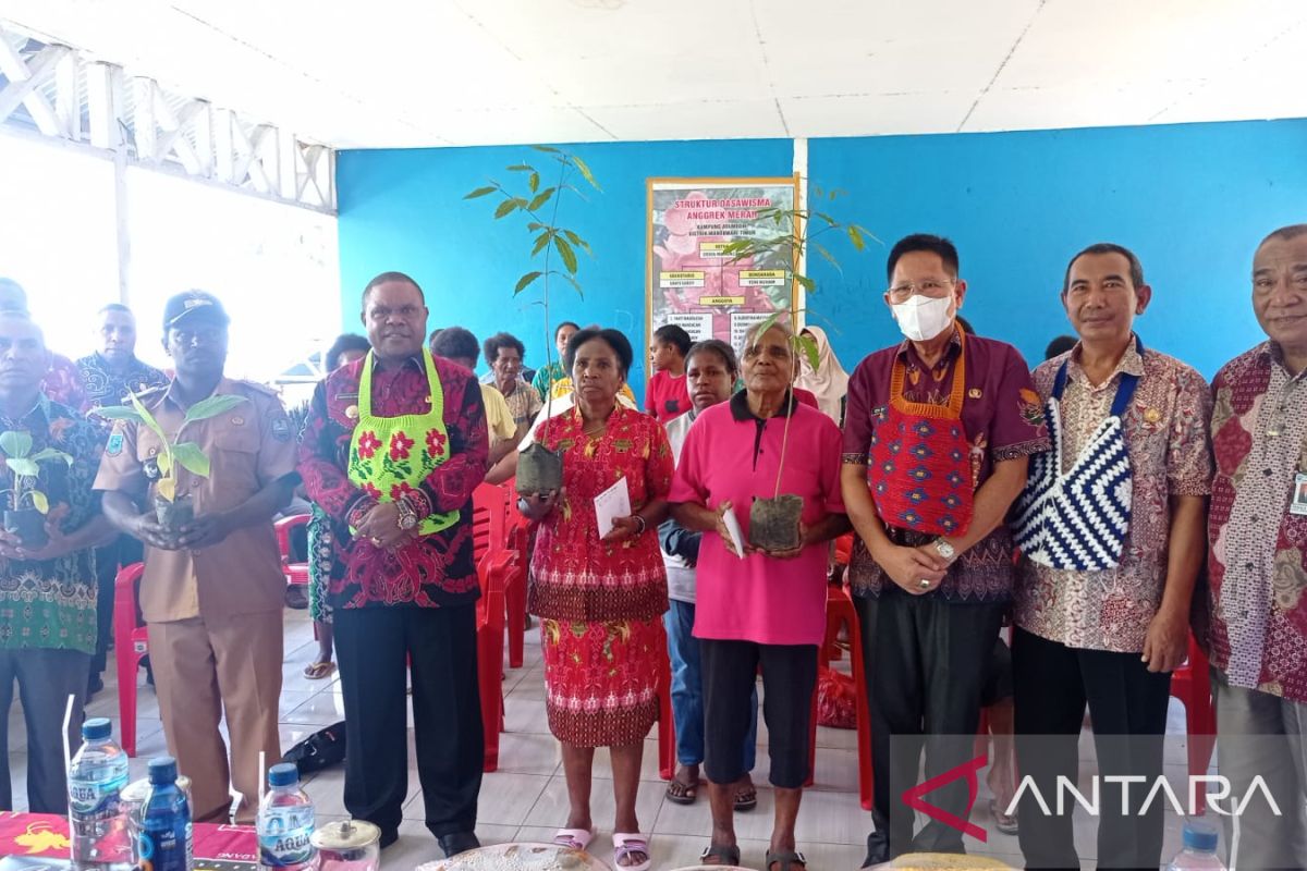 Pengembangan jagung di Manokwari manfaatkan lahan peremajaan sawit