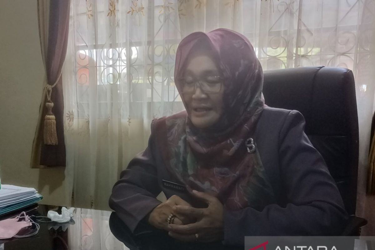 Kadiskominfo HSS imbau hati-hati penipuan transaksi digital beresiko