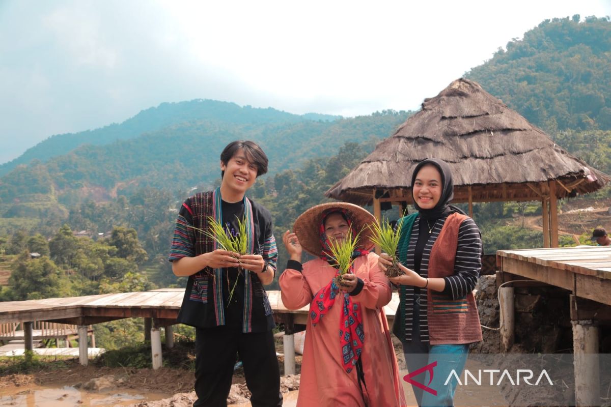 Pemkab Bogor ajak petani asuransikan sawahnya untuk antisipasi gagal panen