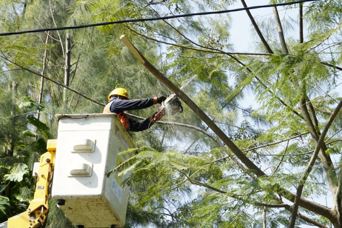 PLN Jatim libatkan 859 personel dalam kegiatan pemeliharaan rabas-rabas