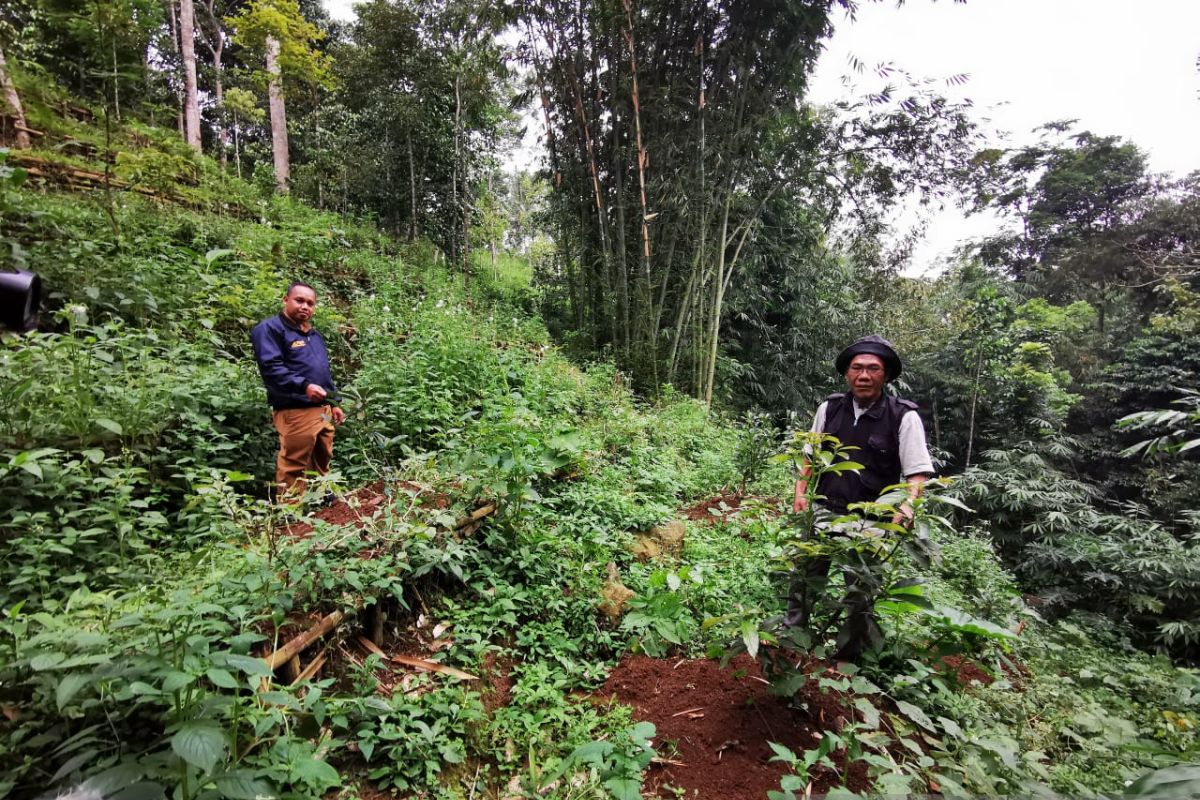 Program FMSRB bantu Poktan Curug optimalkan produktifitas lahan dengan konservasi