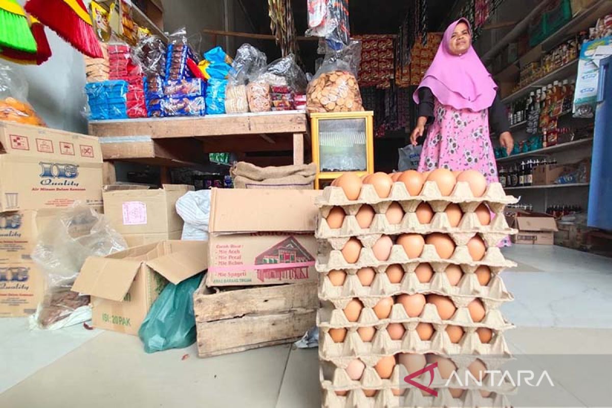 Di Aceh Timur, harga telur Rp52 ribu per papan