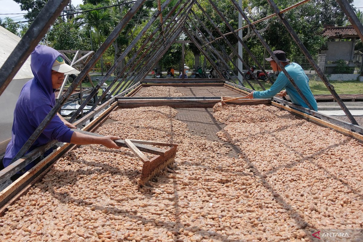 Kemenperin upayakan RI jadi episentrum industri pengolahan kakao dunia