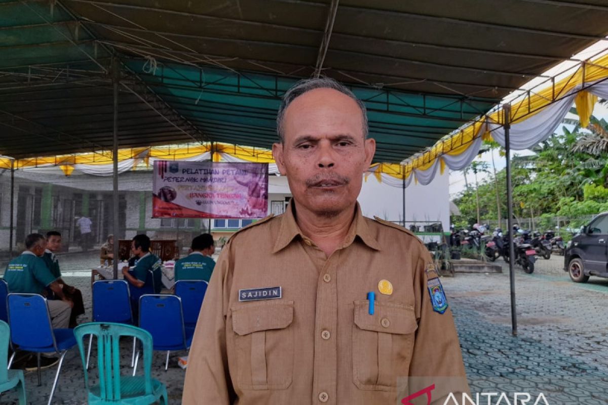 Pemerintah Bangka Tengah dorong warga membudidayakan cabai merah