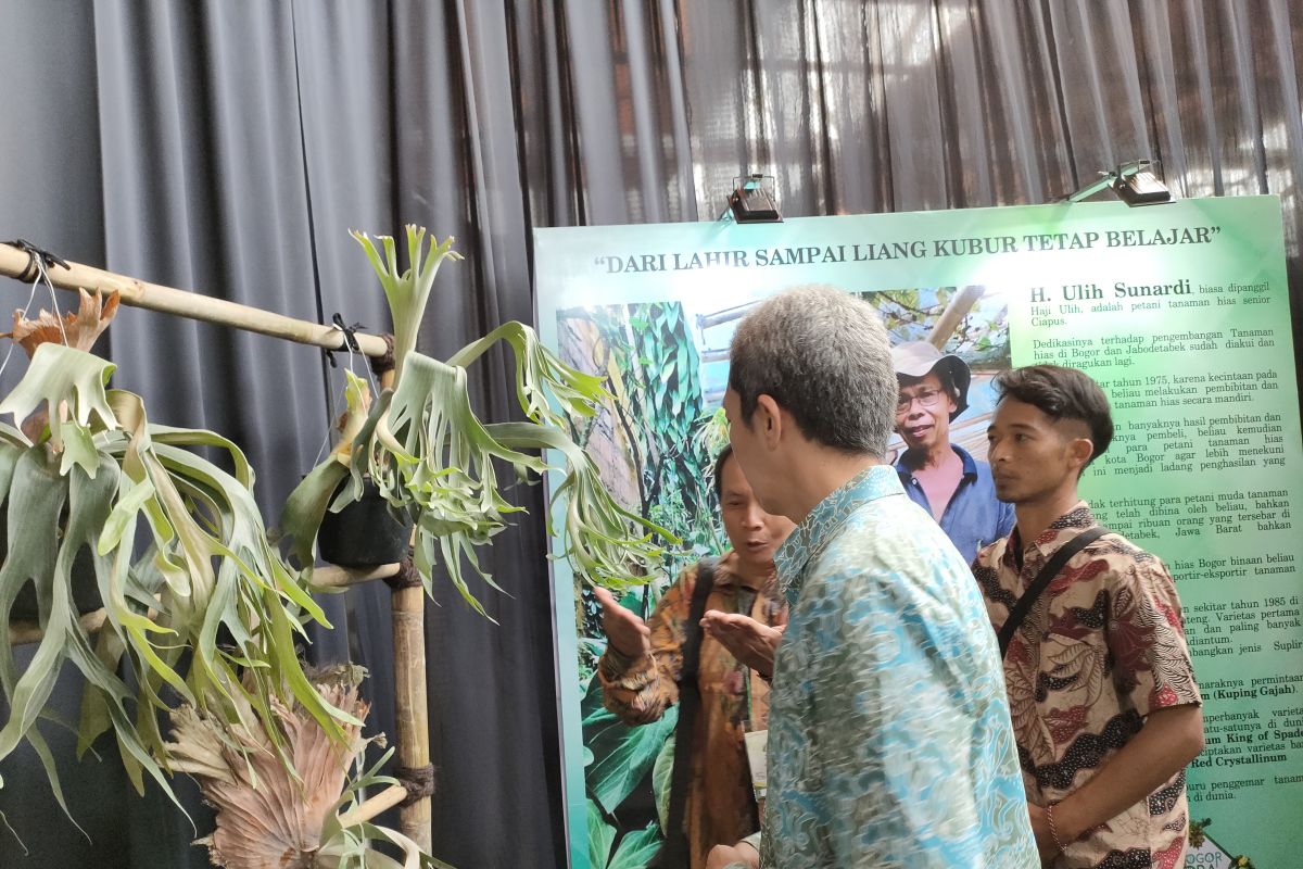 Pemkot Bogor berencana jadikan Festival Flora 'lebaran' pemulia dan pegiat tanaman hias