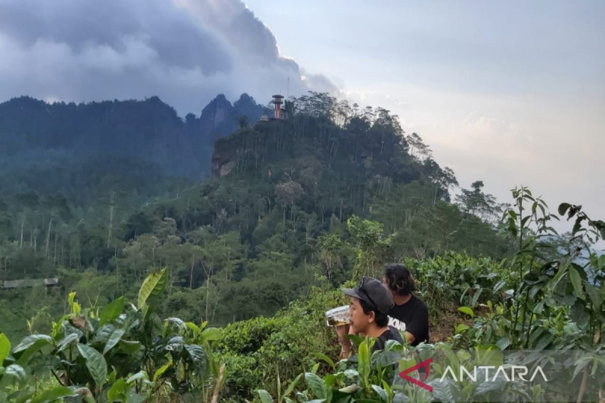 Dispar Kulon Progo mengembangkan desa wisata dongkrak ekonomi kreatif