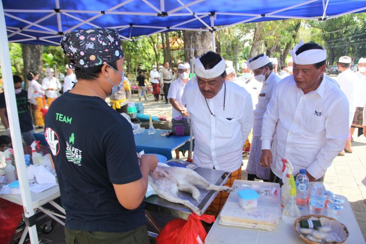 Pemkot Denpasar targetkan vaksinasi rabies untuk 25 persen populasi anjing