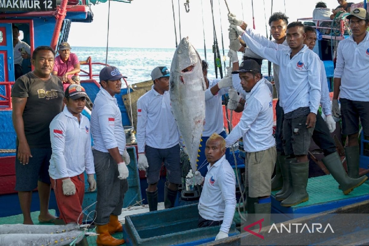 SKPT Biak ekspor 1,7 ton ikan tuna segar ke Jepang