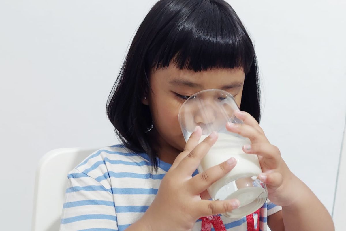 Pakar: minum susu bisa tingkatkan imun tubuh