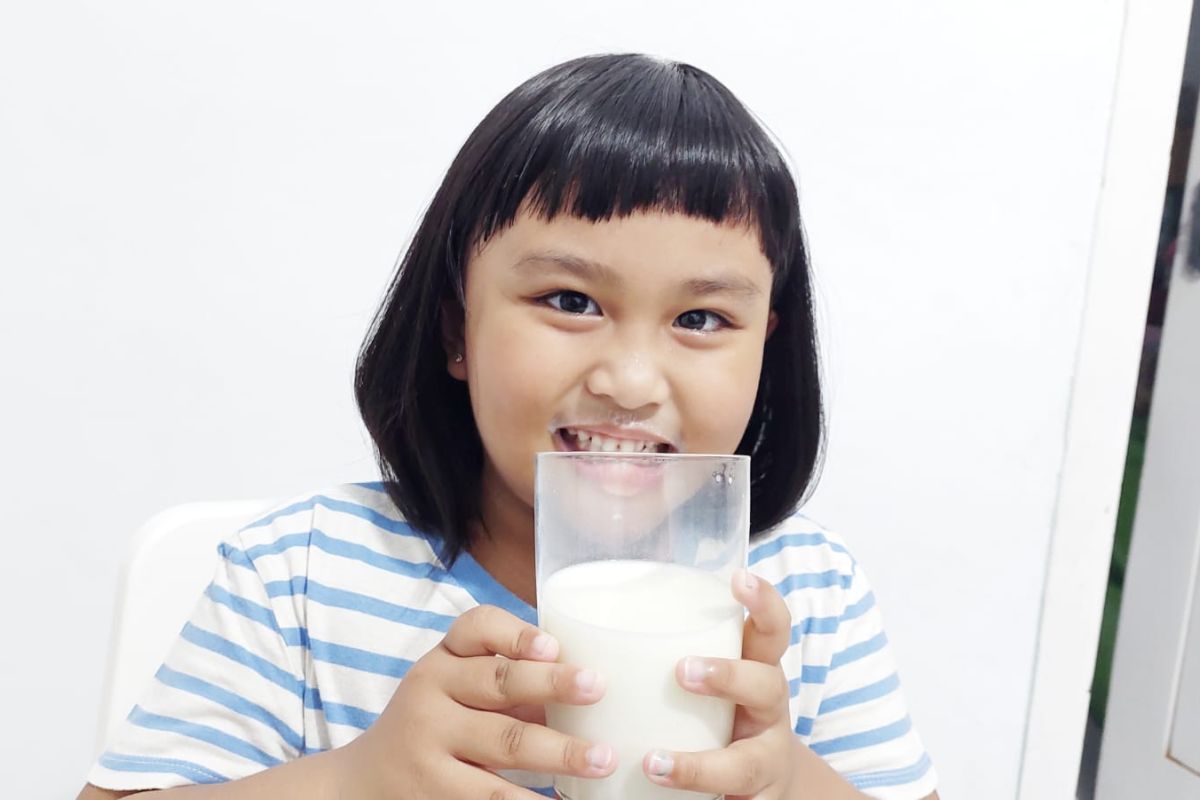 Minum susu bisa tingkatkan imun tubuh