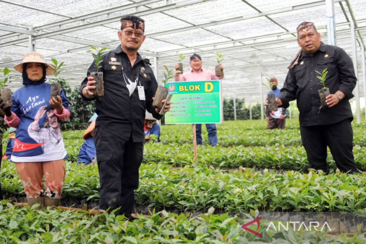 Mentan sebut Garut siap pasok 10 juta bibit kopi untuk Indonesia