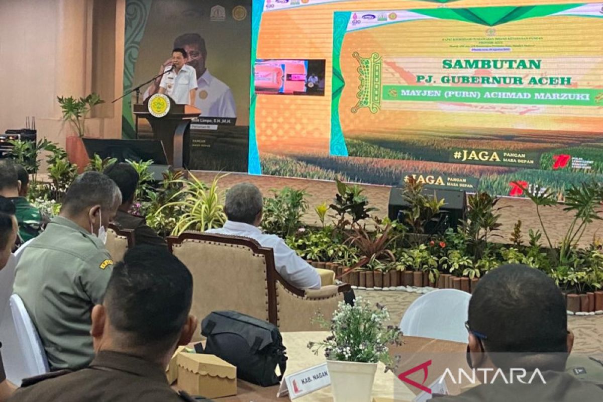Pj Gubernur minta APIP-APH optimalkan pengawasan pangan di Aceh