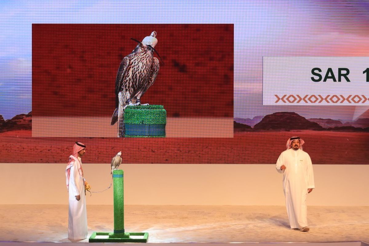 Penggemar burung alap-alap banjiri pameran besar di Riyadh, Arab Saudi