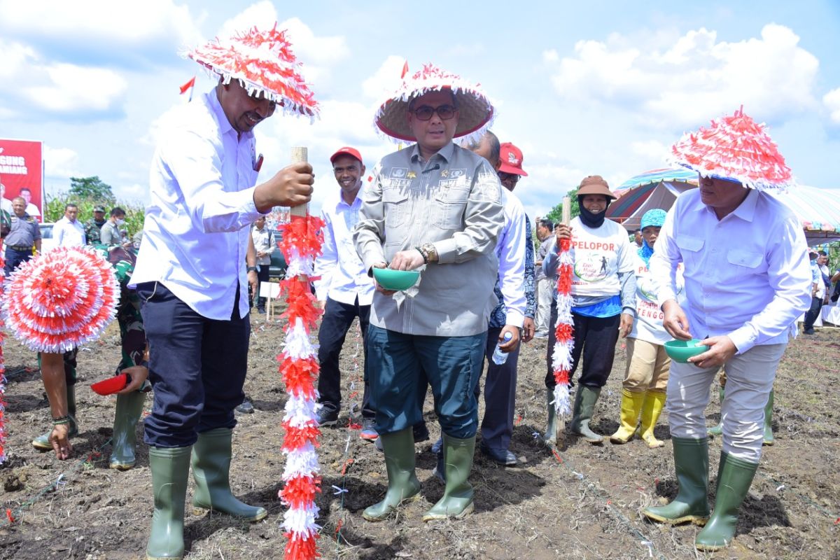 Wamentan tanam jagung di Aceh Tamiang