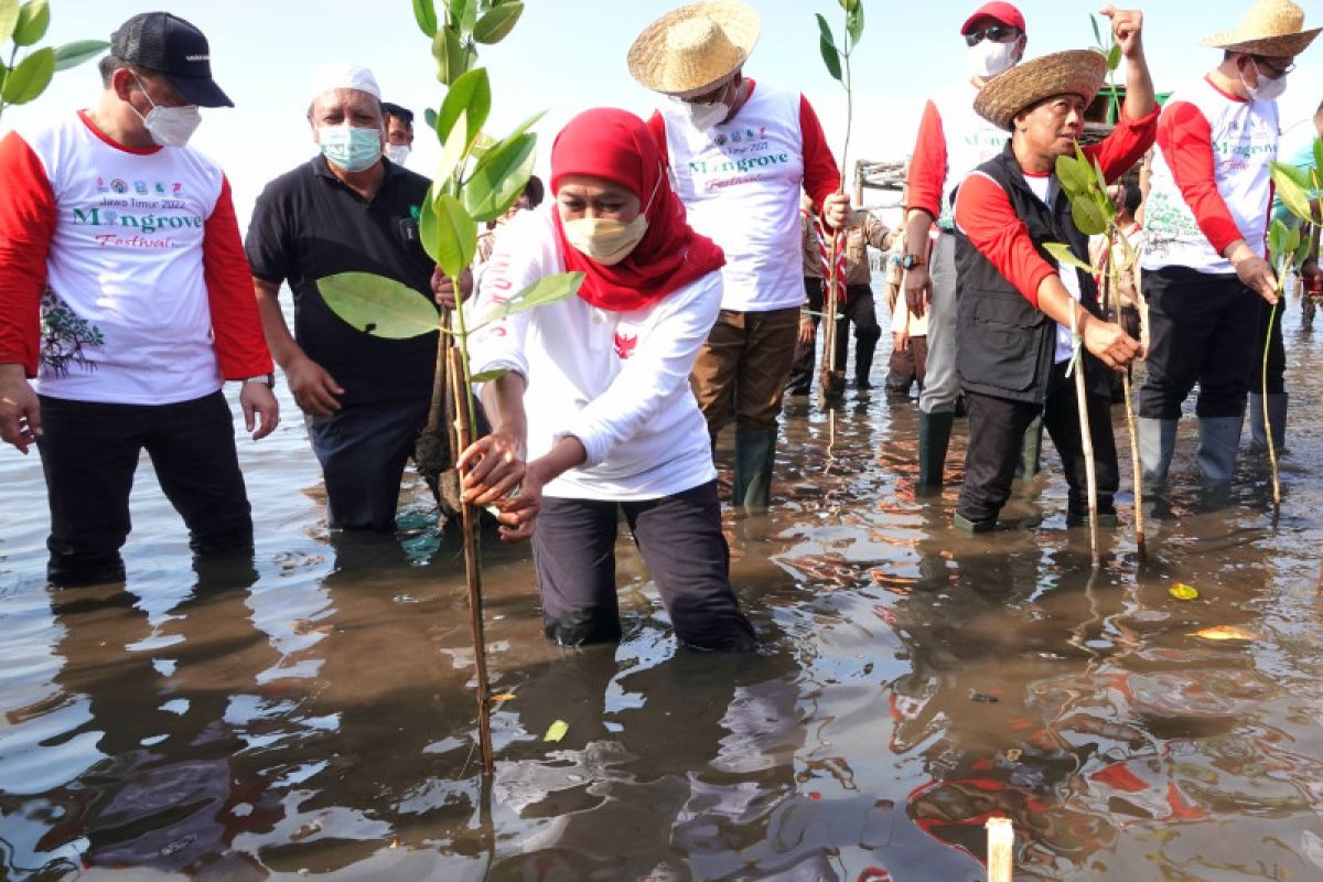 Pemprov Jatim gelar festival mangrove di Pasuruan