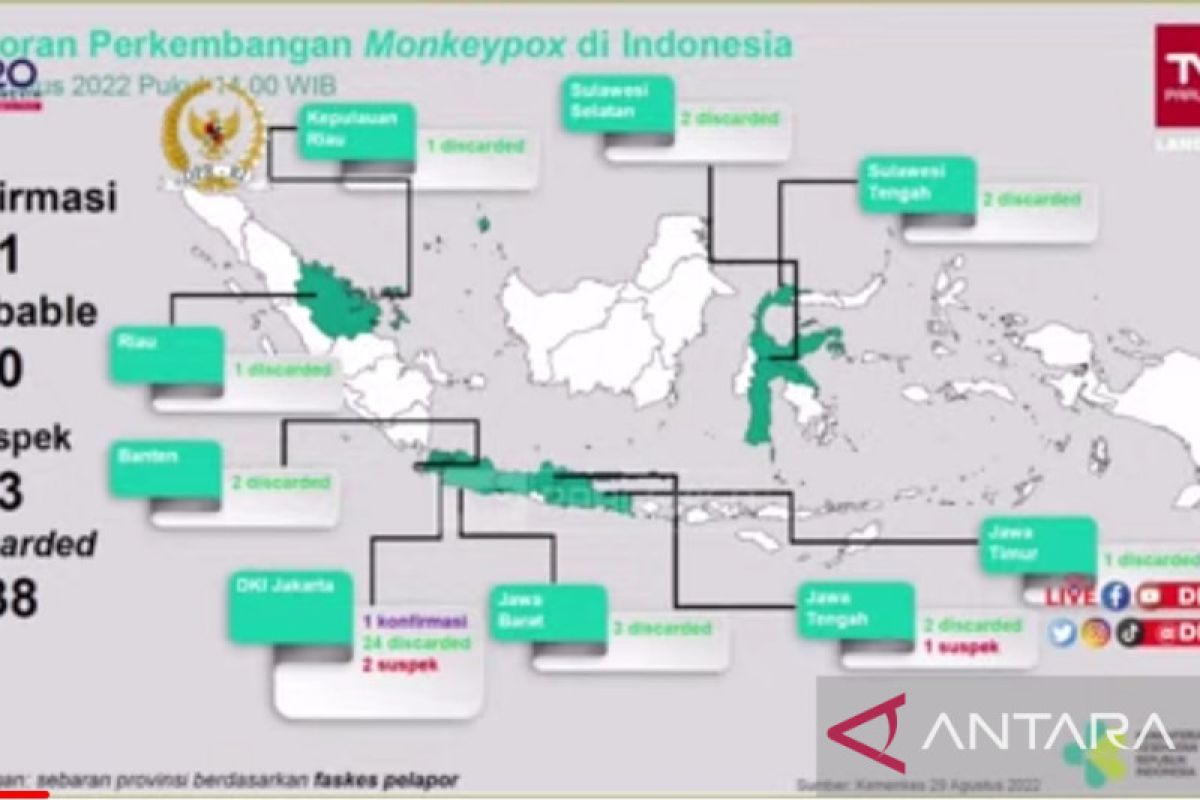 Pasien cacar monyet di Indonesia sudah sembuh