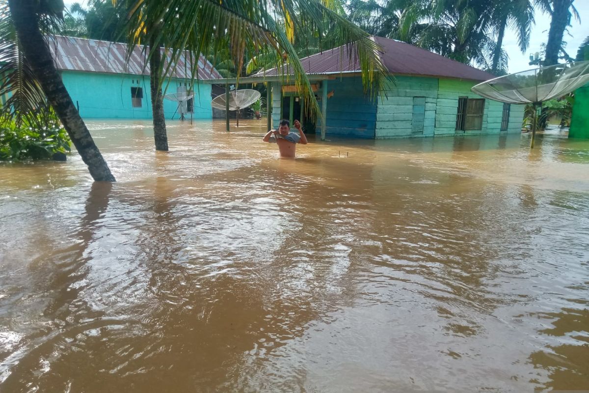 Ratusan rumah di Seluma terendam banjir