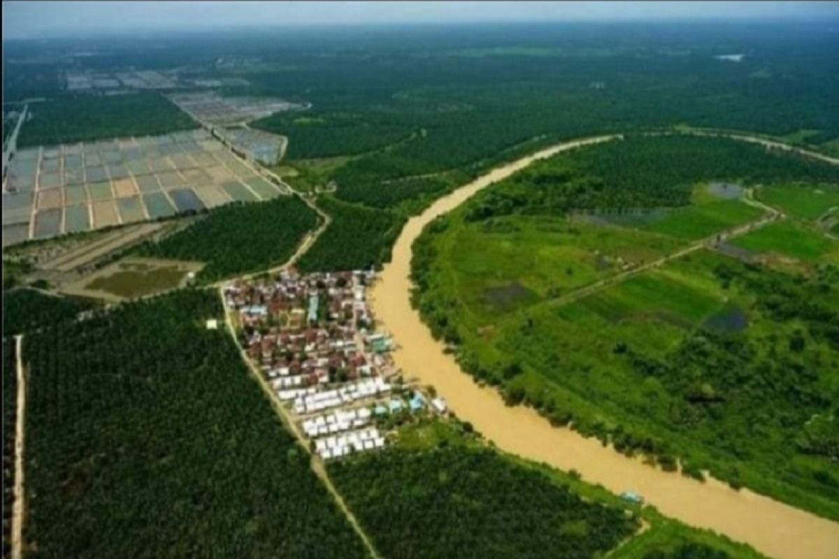 LembAHtari temukan hutan produksi beralih fungsi kebun sawit di pesisir Aceh Tamiang