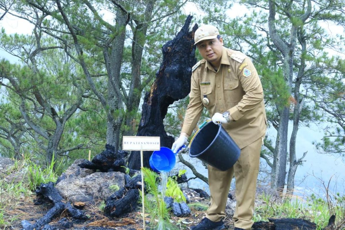 Pemkab Samosir canangkan penanaman pohon  di lahan bekas terbakar