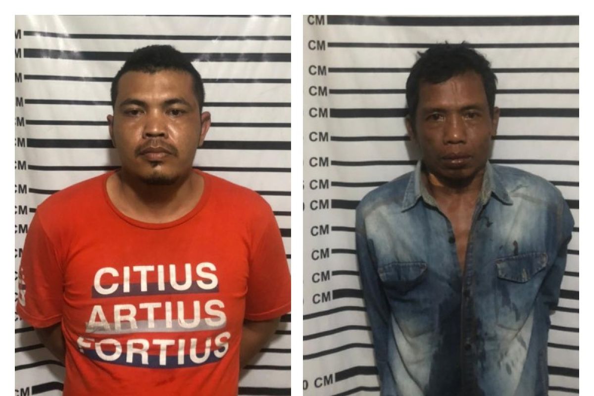 Polsek Pangkalan Brandan tangkap dua pemilik narkotika