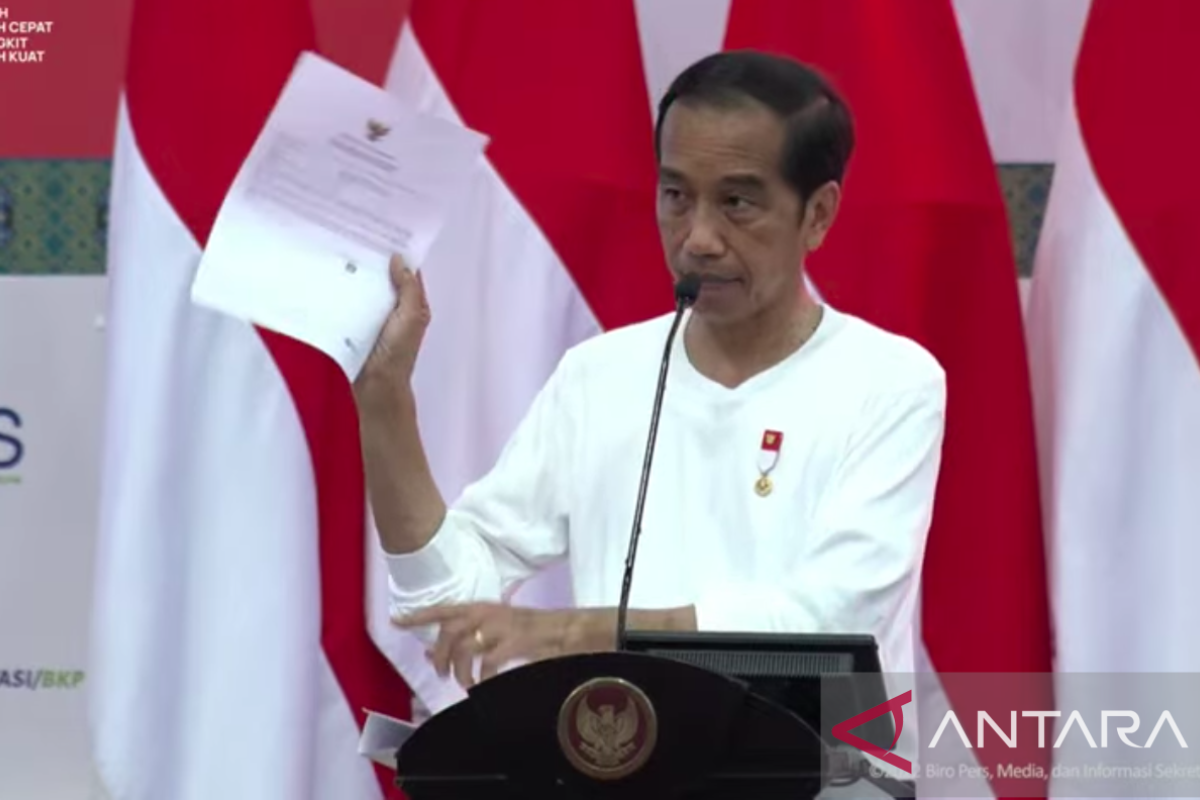 Presiden Jokowi minta UMKM di Papua manfaatkan NIB untuk tambah modal