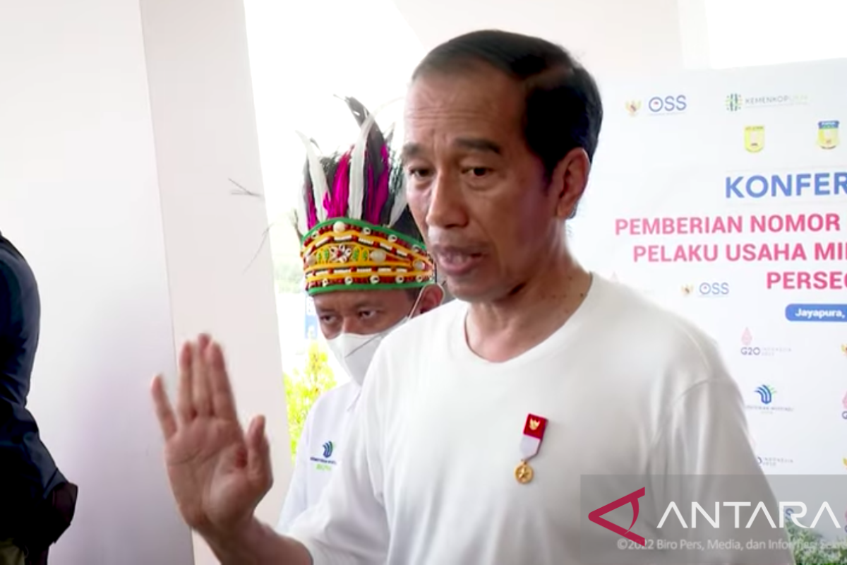 Presiden Jokowi perintahkan Panglima TNI usut tuntas kasus mutilasi di Mimika