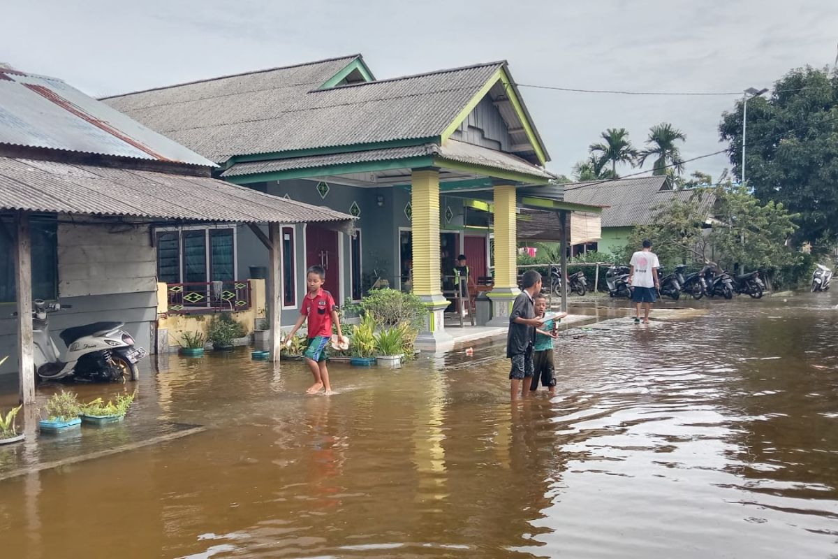 BPBD sebut 866 rumah di Seluma terendam banjir