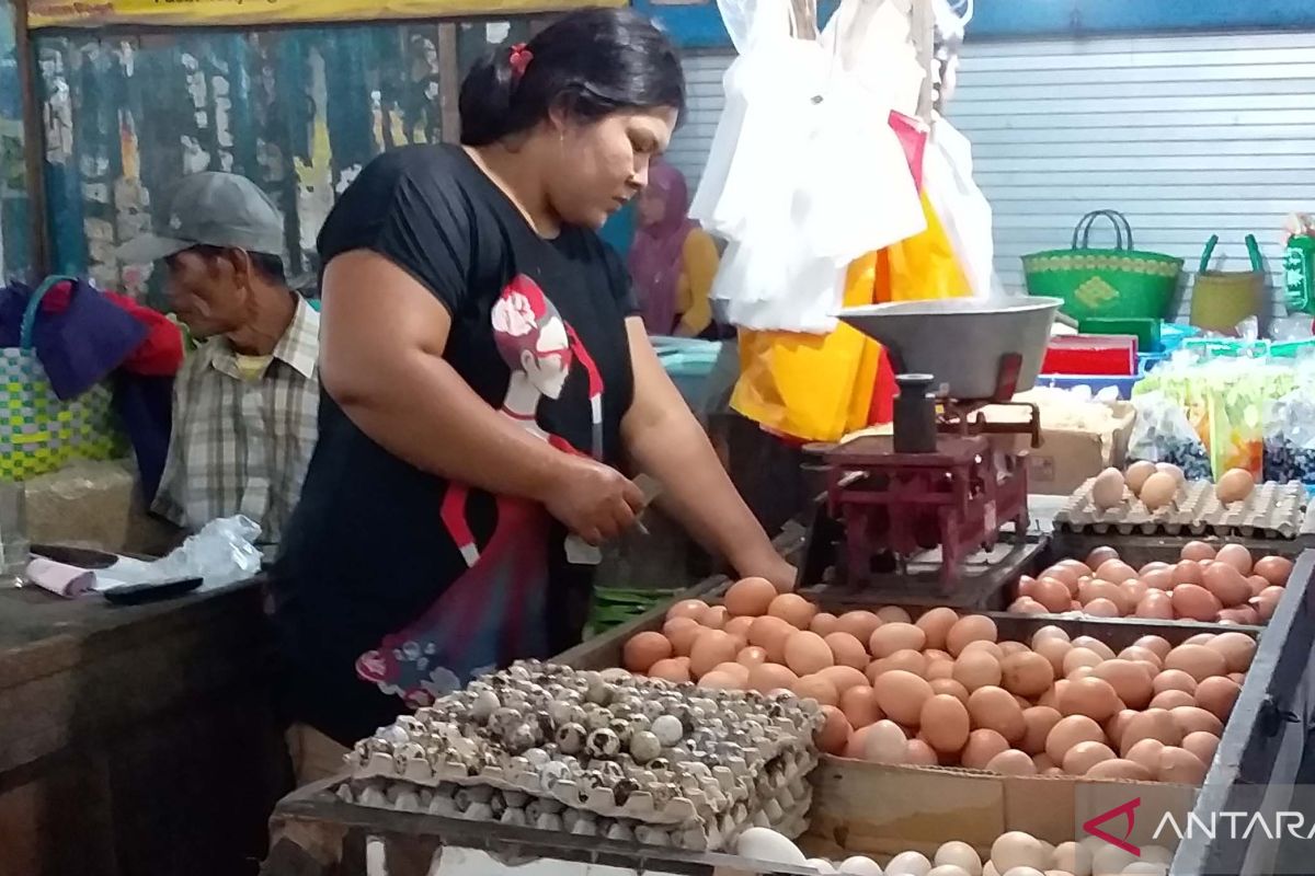 Harga telur di pasar tradisional Jember masih belum stabil