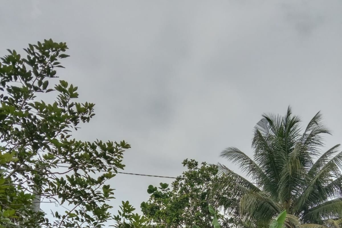 Lima Dusun di Desa Pulau Banyak Tanjungpura belum memiliki tiang listrik